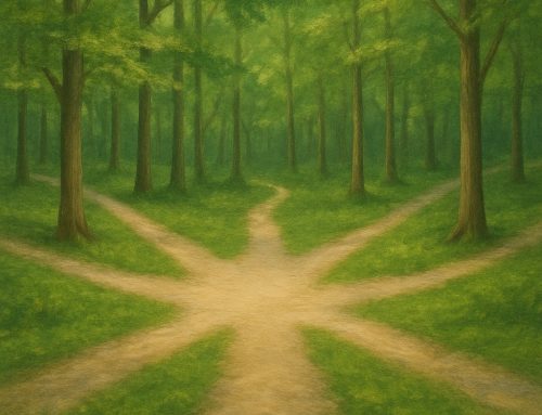 Choose Your Path to Well-Being: Which Class Is Right for You?